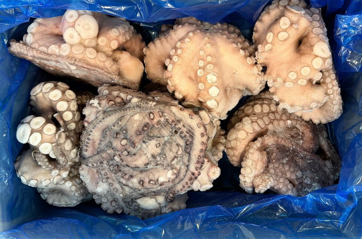 Octopus (Vulgaris), T4 (1.5-2 kg), Whole, Frozen, IQF, Morocco, NW, 12 kg (26.46 lb)