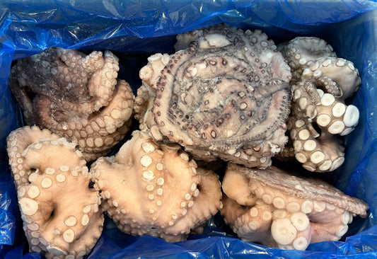 Octopus (Vulgaris), T4 (1.5-2 kg), Whole, Frozen, IQF, Morocco, NW, 12 kg (26.46 lb)