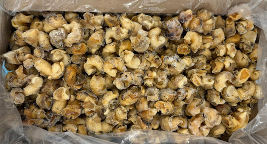 Whelk Meat, Cooked, Frozen, IQF, Canada, NW 14lb ( 1 x 14lb)