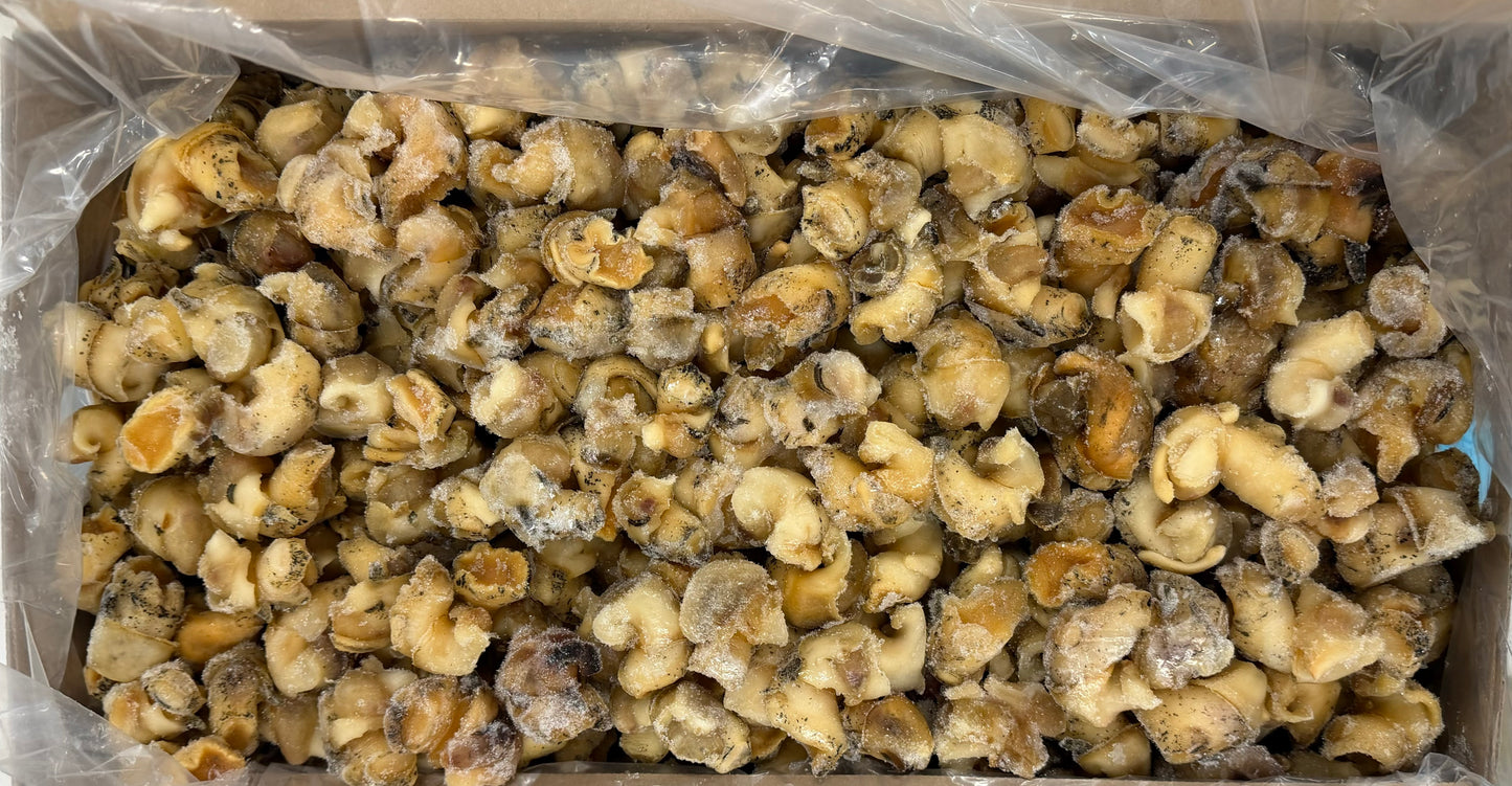Whelk Meat, Cooked, Frozen, IQF, Canada, NW 14lb ( 1 x 14lb)
