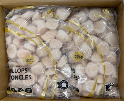Sea Scallops, 10-20, Frozen, Hokkaido, Japan, IQF,NW, 20 lb, 4x5lb