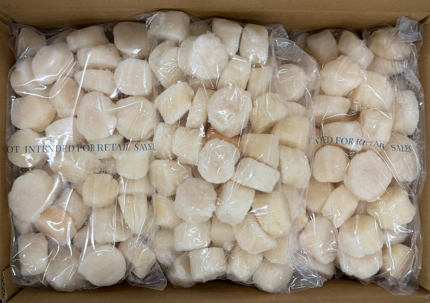 Scallops, U12, Frozen, Hokkaido, Japan, IQF, NW, 30lb, 6x5lb