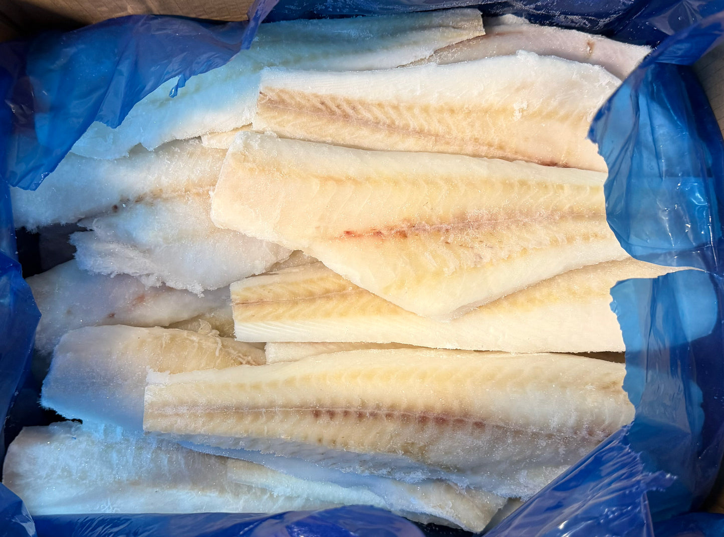 Grenadier, 6-8 oz, Skinless, Boneless, Frozen, IQF, NW 10lb