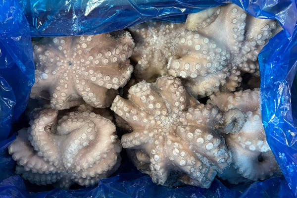 Octopus (Vulgaris), T5 (1-1.5 kg), Whole, Frozen, Flower, IQF, MAX, Morocco, NW, 12 kg (26.46 lb)