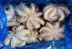 Octopus (Vulgaris), T5 (1-1.5 kg), Whole, Frozen, Flower, IQF, MAX, Morocco, NW, 12 kg (26.46 lb)