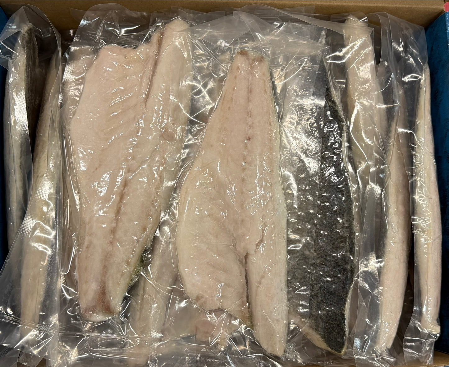 Sea Bass (Branzino), Fillet, 6-8, skin on, Frozen, IVP, NW 10lb