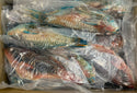 Parrot Fish, 1/2-3/4lb, WGGS, Frozen, IQF, IWP, Vietnam, NW,10lb