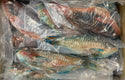 Parrot Fish, 1/2-3/4lb, WGGS, Frozen, IQF, IWP, Vietnam, NW,10lb