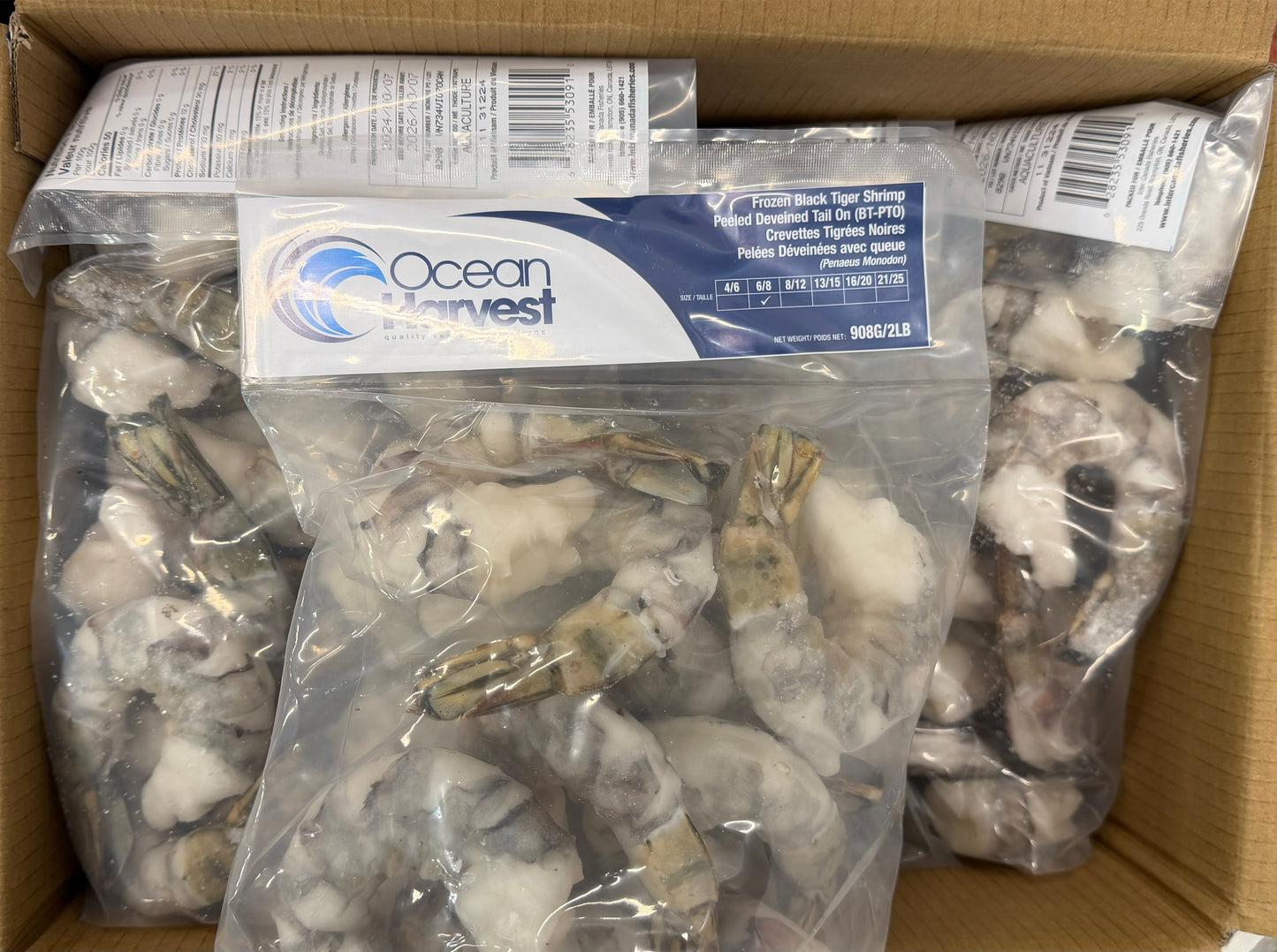 Shrimp (Black Tiger), 6-8, PDTO, Frozen, NW, 10 lb., 5x2lb