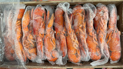 Lobster, 14-16 oz, Whole, Cooked, Canada, Frozen, NW, 10 lb