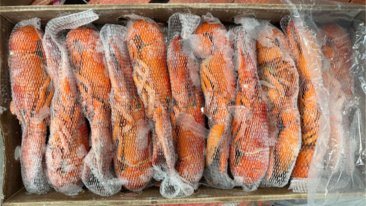 Lobster, 14-16 oz, Whole, Cooked, Canada, Frozen, NW, 10 lb