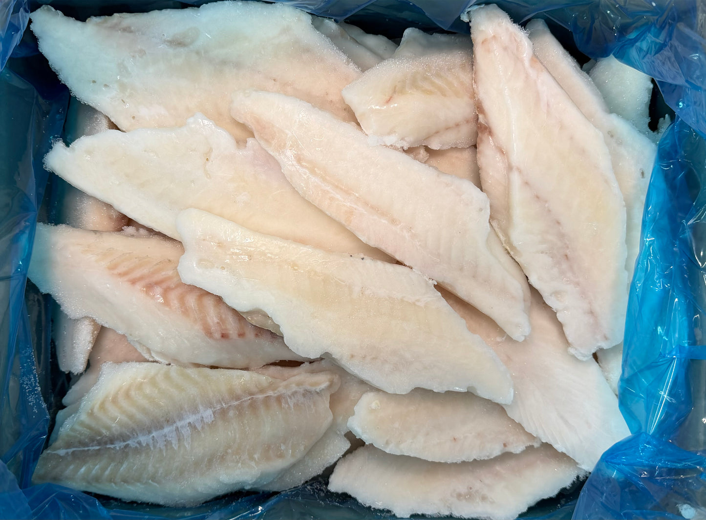 Haddock, 4 oz, Fillet, 100%, Skinless, Boneless, Frozen, IQF, PBO, Light treated, China, 5-8% glazing, NW, 10 lb