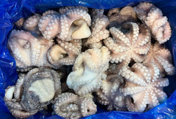 Octopus, (Vulgaris), T7 (0.5-0.8 kg), Whole, Frozen, NW, 12 kg (26.46 lb)