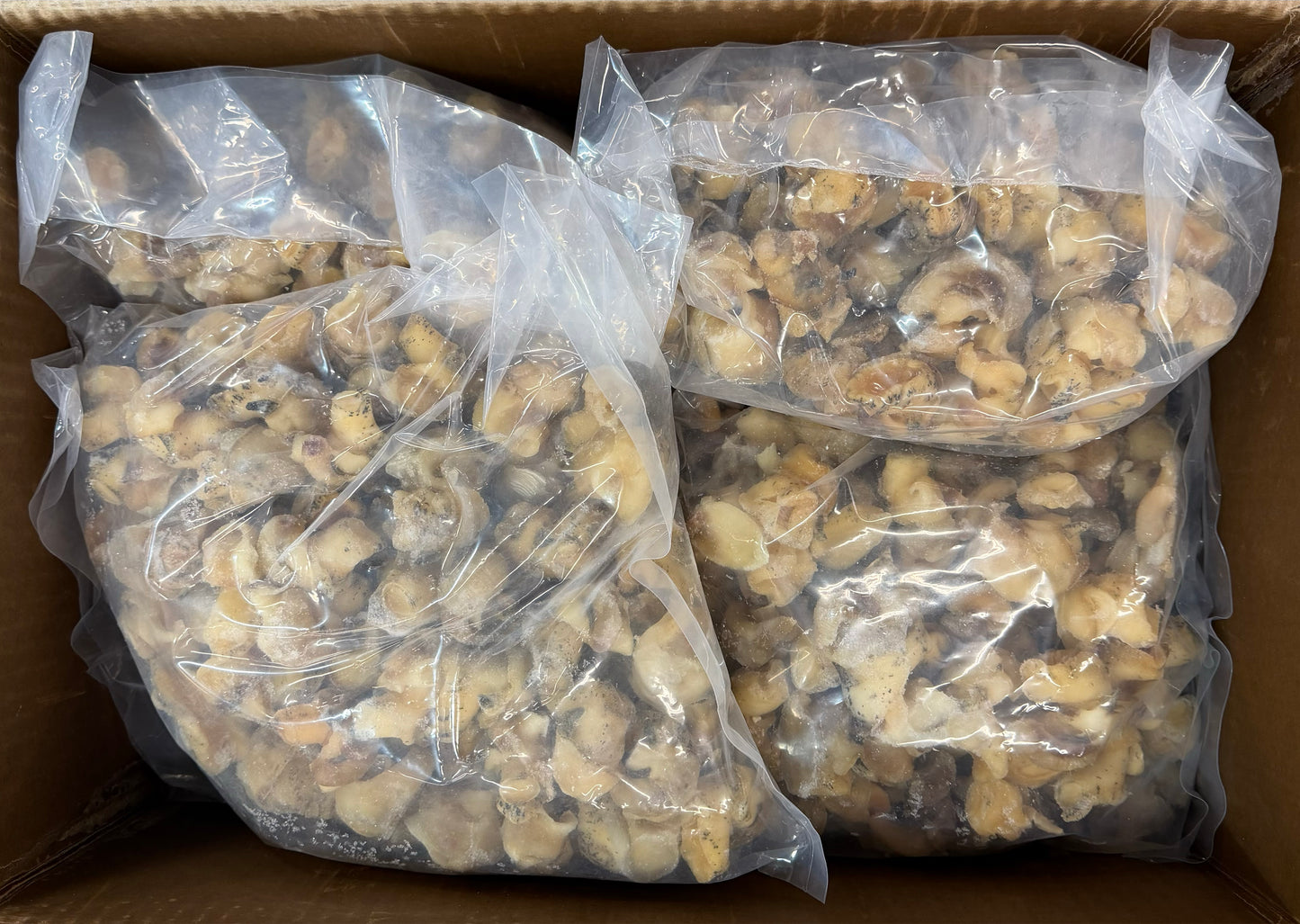 Whelk Meat, Cooked, Frozen, IQF, Canada, NW 24lb ( 6 x 4lb)