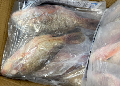 Snapper (Red),3/4-1lb,WGGS, Frozen, IQF, IWP, Vietnam, Ocean Harvest, NW,10lb, 2x5lb