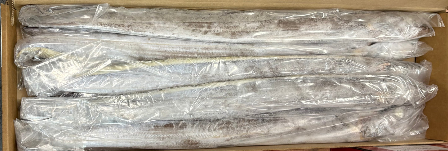 Cutlassfish, 1001-1500 g, Whole Round, Frozen, IWP, Venezuela, NW, 22 lb