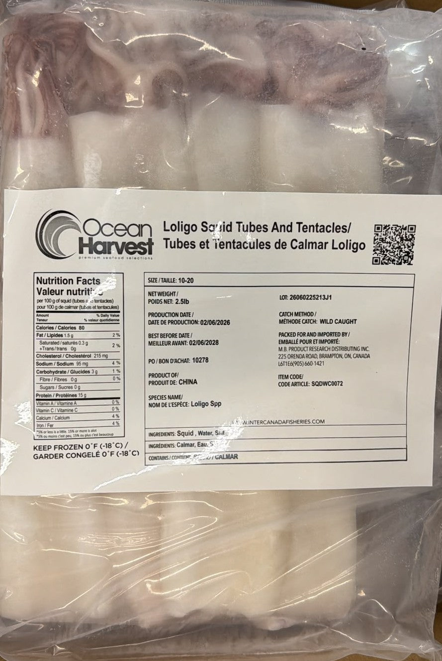 Squid (Loligo For.), 10/20, Whole, Cleaned, Block, Frozen, Ocean Harvest, China,, NW, 15 lb, (6x 2.5 lb)