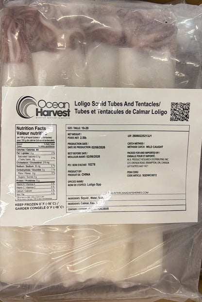 Squid (Loligo For.), 10/20, Whole, Cleaned, Block, Frozen, Ocean Harvest, China,, NW, 15 lb, (6x 2.5 lb)