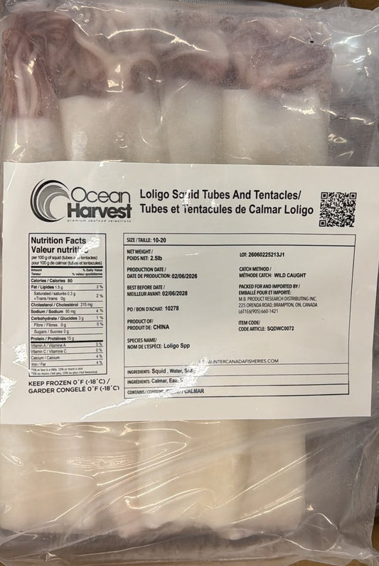 Squid (Loligo For.), 10/20, Whole, Cleaned, Block, Frozen, Ocean Harvest, China,, NW, 15 lb, (6x 2.5 lb)
