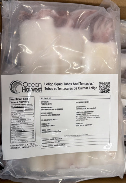 Squid (Loligo For.), U5, Whole, Cleaned, Block, Frozen, Ocean Harvest, China,, NW, 15 lb, (6x 2.5 lb)