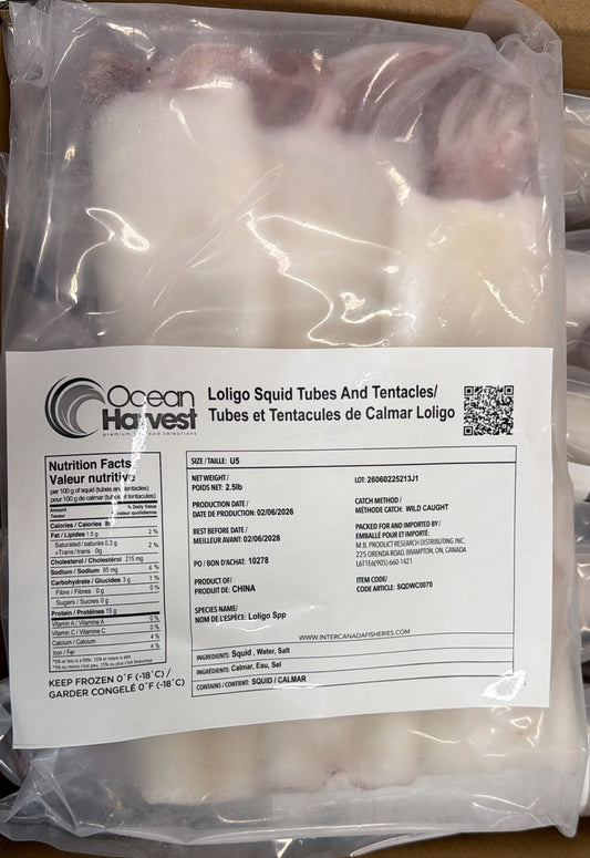 Squid (Loligo For.), U5, Whole, Cleaned, Block, Frozen, Ocean Harvest, China,, NW, 15 lb, (6x 2.5 lb)
