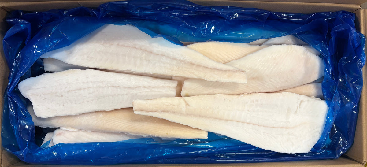 Halibut (Atlantic), 8-16oz, Fletches, Frozen, IQF, China, NW, 25lb