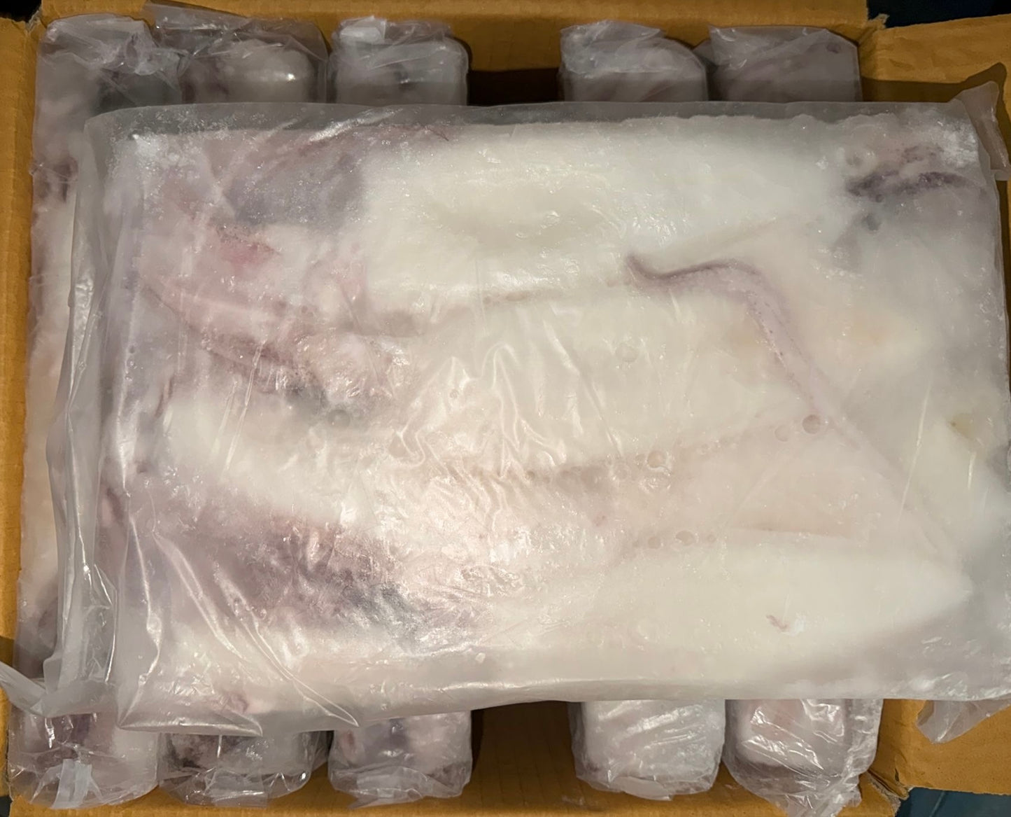 Packaged frozen whole squid in a cardboard box with plastic wrap