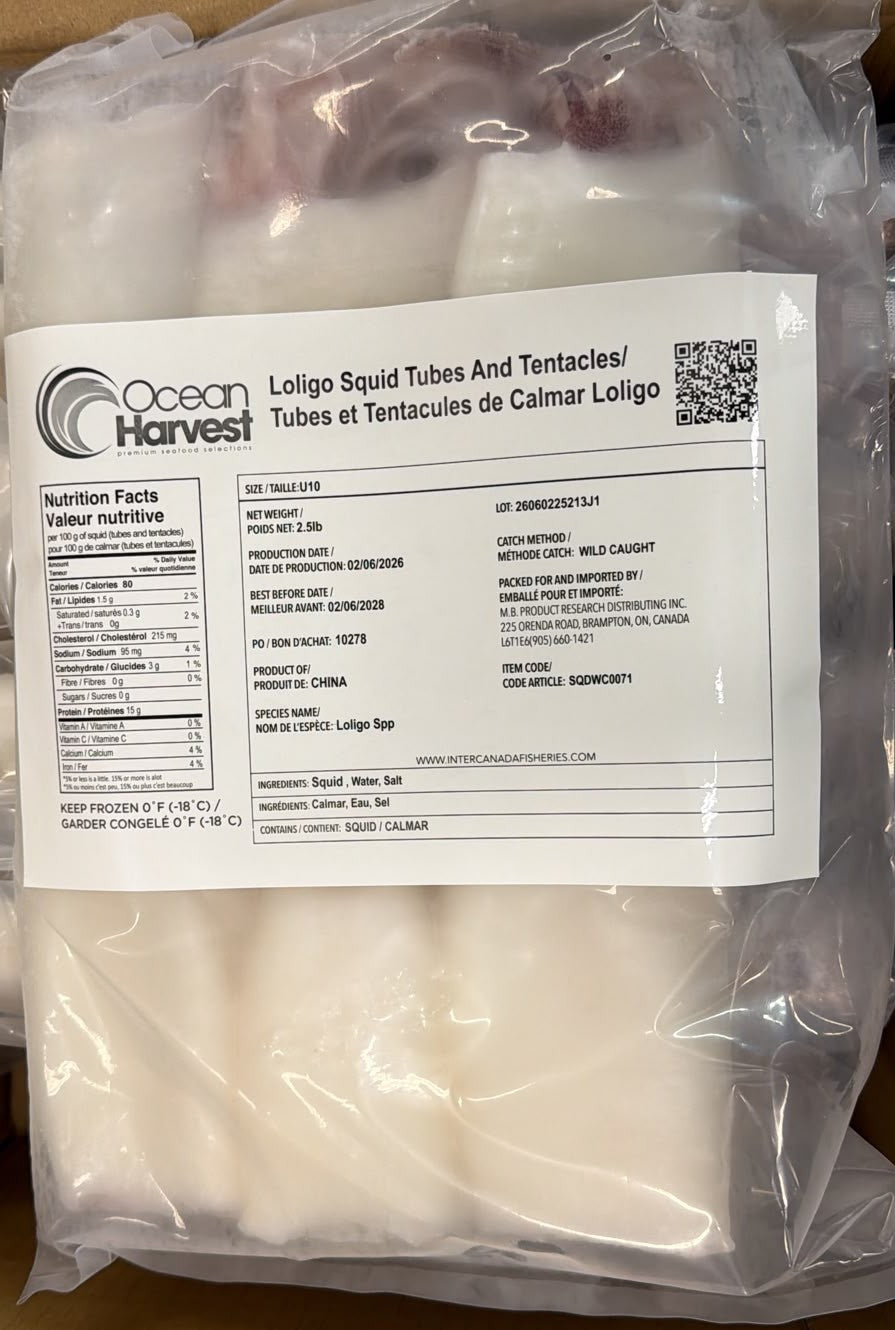 Squid (Loligo For.), U10, Whole, Cleaned, Block, Frozen, Ocean Harvest, China,, NW, 15 lb, (6x 2.5 lb)