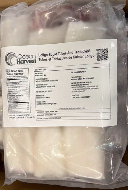 Squid (Loligo For.), U10, Whole, Cleaned, Block, Frozen, Ocean Harvest, China,, NW, 15 lb, (6x 2.5 lb)