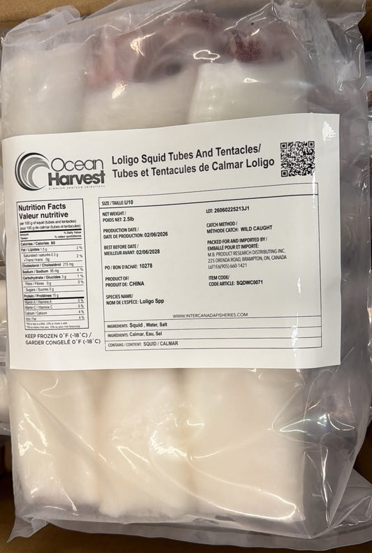 Squid (Loligo For.), U10, Whole, Cleaned, Block, Frozen, Ocean Harvest, China,, NW, 15 lb, (6x 2.5 lb)