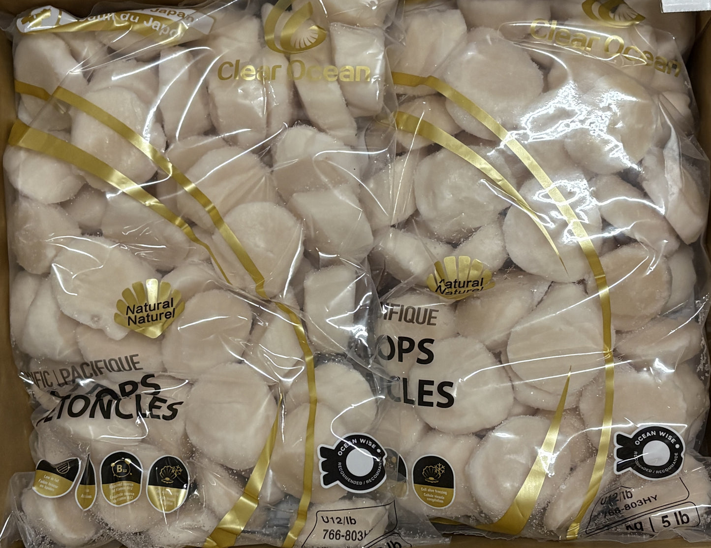 Sea Scallops, U12, Frozen, Hokkaido, Japan,  IQF,NW, 20 lb, 4x5lb
