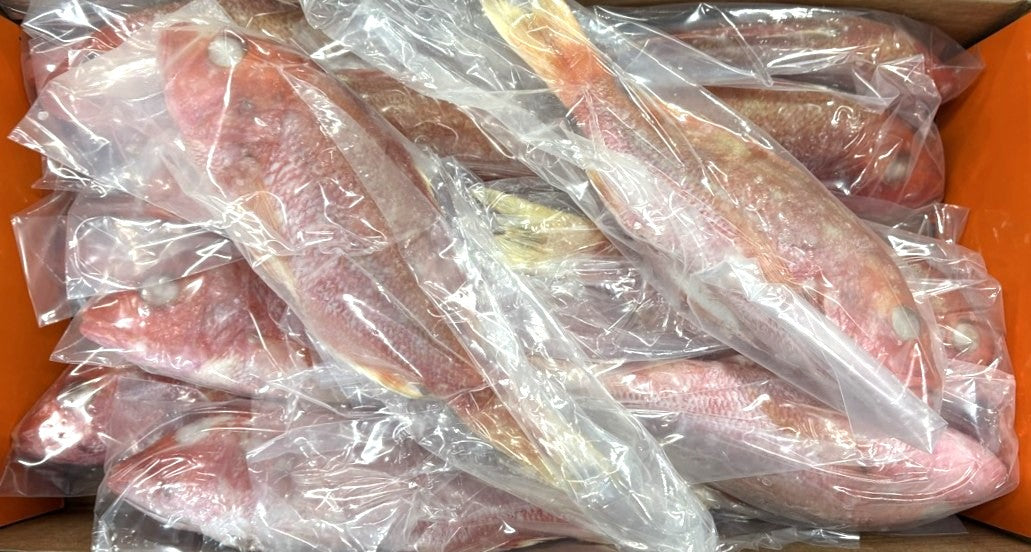 Snapper (Red), 3/4 lb-1 lb, GGS, Frozen, Guyana, NW, 10 lb