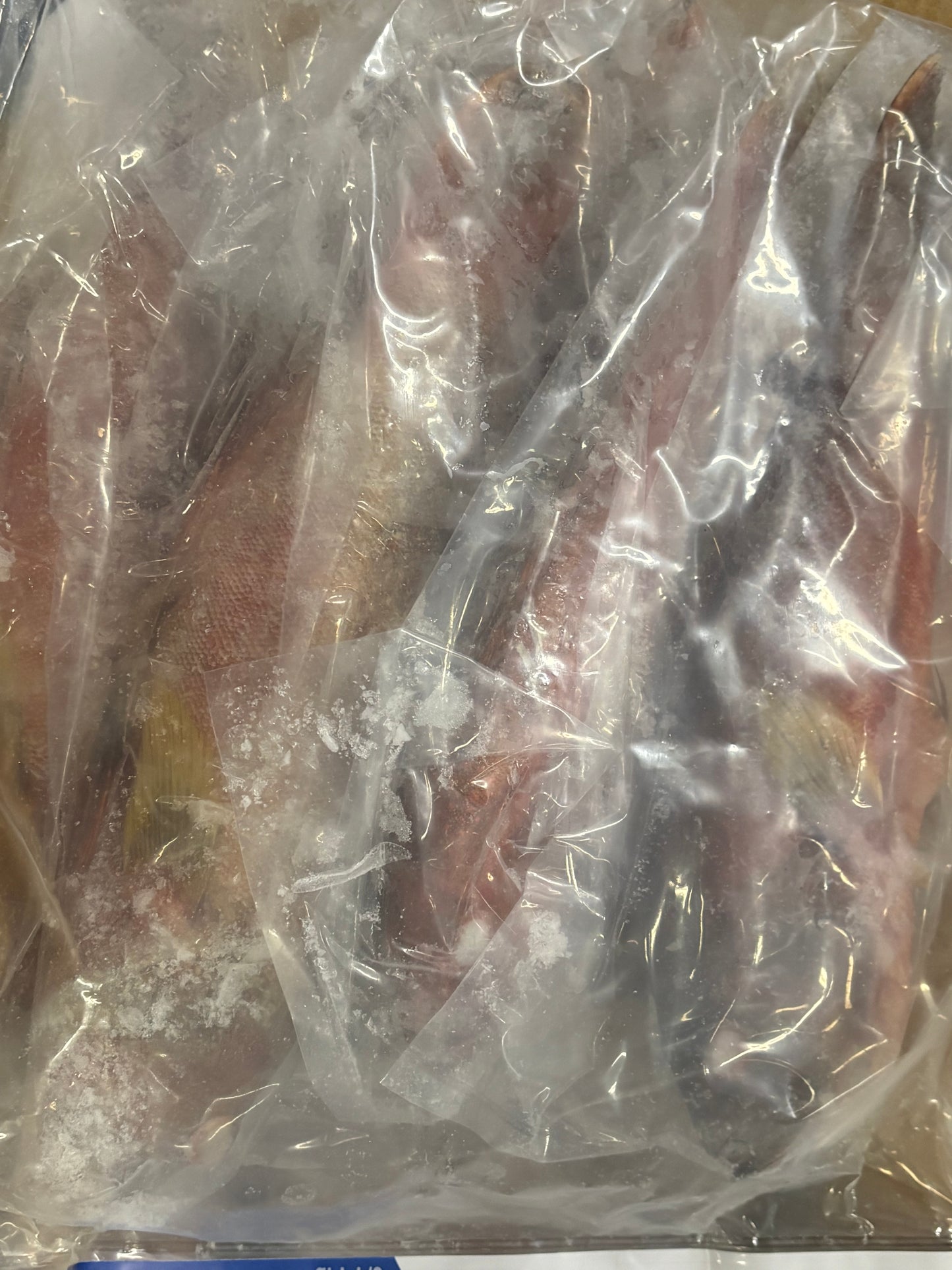 Grouper (Strawberry),3/4-1, WGGS, Frozen, IQF, IWP, Vietnam, NW, 10lb, 2X5lb