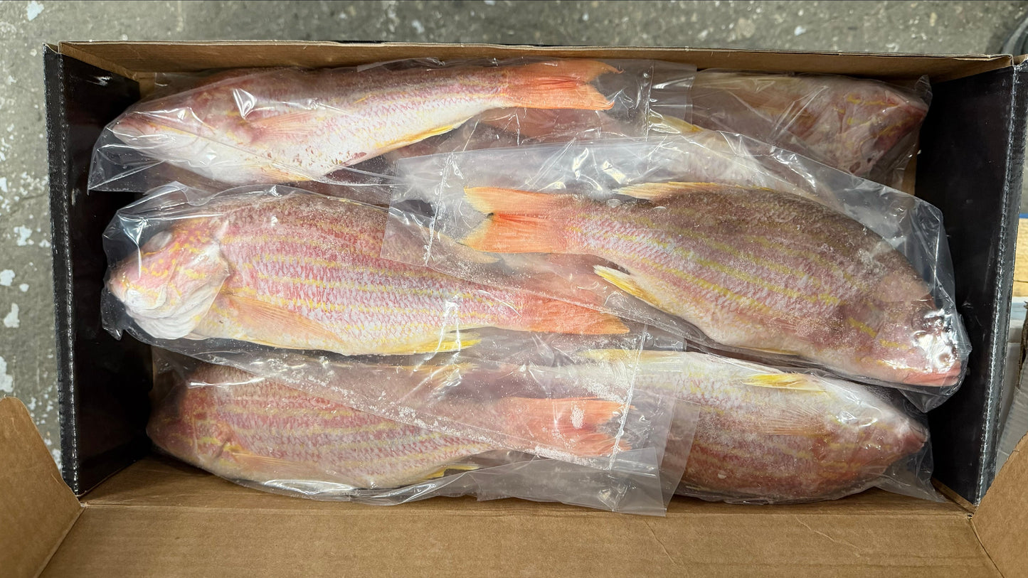 Snapper (Lane), 3/4-1 lb, GGS, Frozen, NW, 10 lb