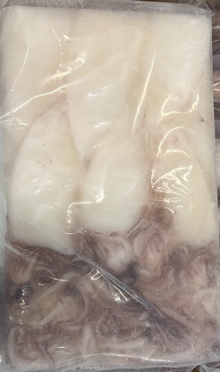 Squid (Loligo For.), 10/20, Whole, Cleaned, Block, Frozen, Ocean Harvest, China,, NW, 15 lb, (6x 2.5 lb)