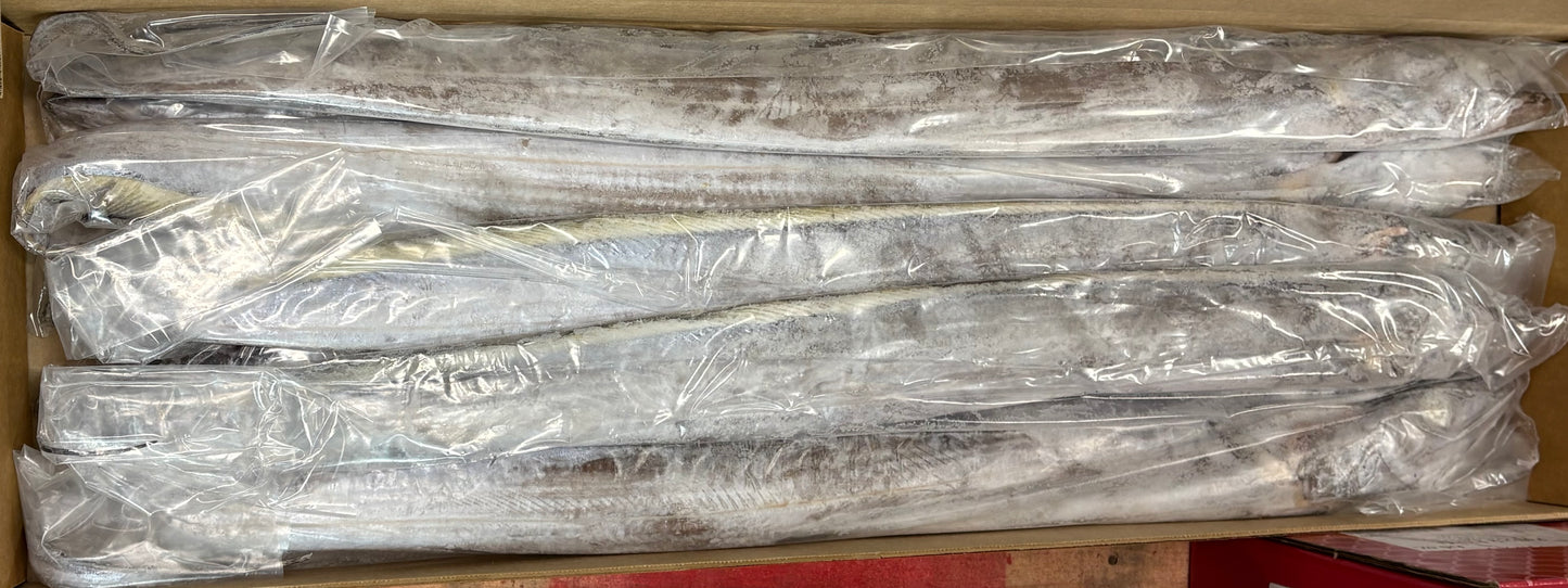 Cutlassfish, 1001-1500 g, Whole Round, Frozen, IWP, Venezuela, NW, 22 lb