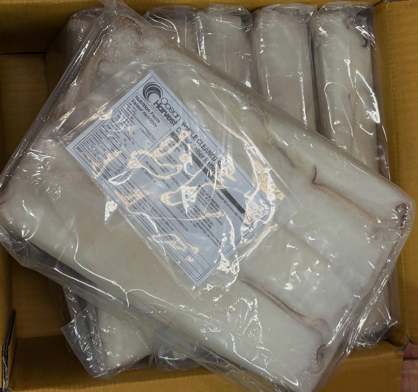 Squid (Loligo For.), U5, Whole, Cleaned, Frozen Thailand, Ocean Harvest, 100% NW, 30lb, 6x5lb