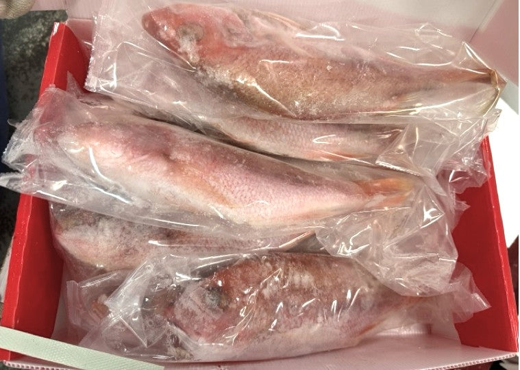 Snapper (Red), 3/4 lb-1 lb, GGS, Frozen, Guyana, NW, 10 lb