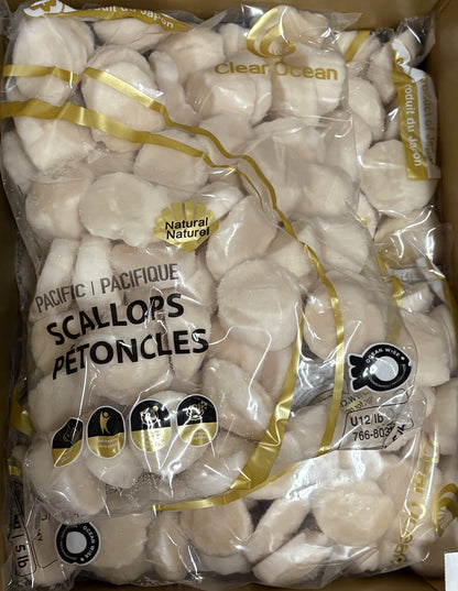 Sea Scallops, U12, Frozen, Hokkaido, Japan,  IQF,NW, 20 lb, 4x5lb