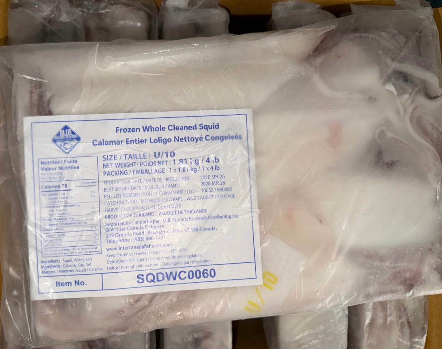 Frozen whole cleaned squid with a label on a clear plastic bag