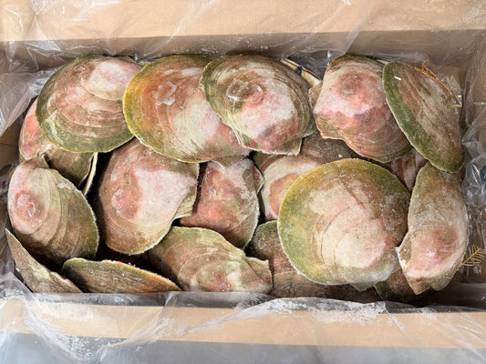 Scallops,(Meat only), 10-13 cm, H/SH, IQF, Frozen, Canada, NW, 10 lb