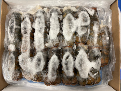 Lobster (Raw), 2-3 oz, Tails, Frozen, Canada, NW, 10 lb