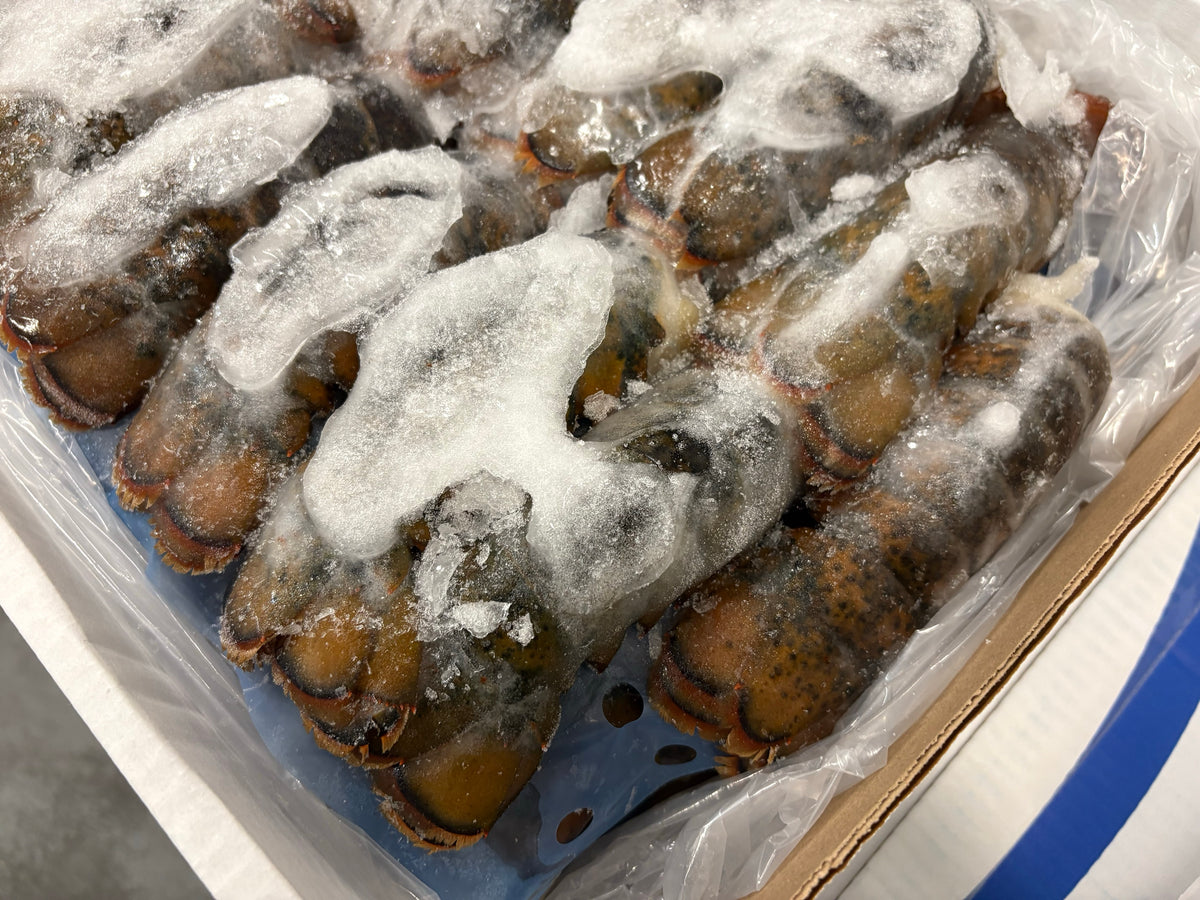 Lobster (Raw), 2-3 oz, Tails, Frozen, Canada, NW, 10 lb