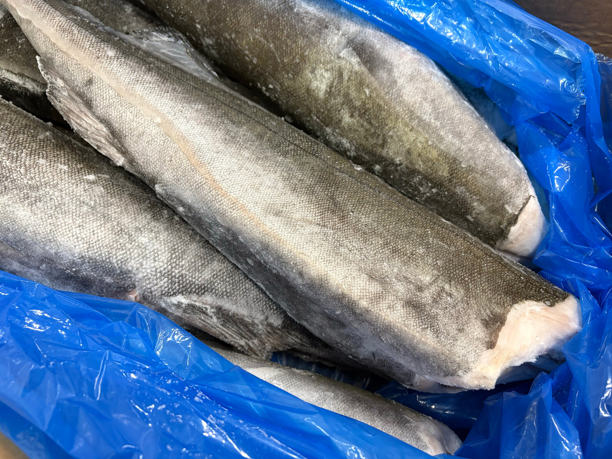 Cod (Black), 5-7 lb, Headless, Gutted, J/Cut, Frozen, IQF, NW, 50 lb