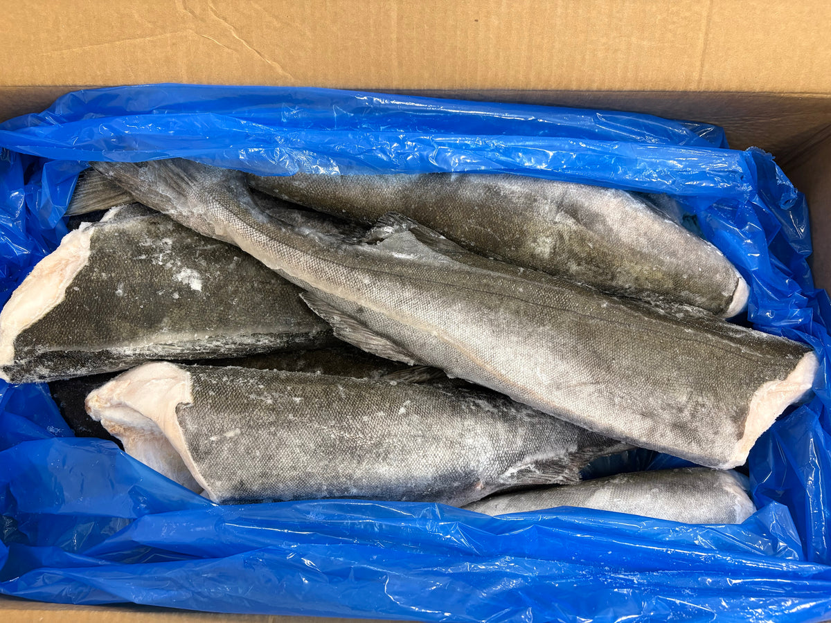 Cod (Black), 5-7 lb, Headless, Gutted, J/Cut, Frozen, IQF, NW, 50 lb