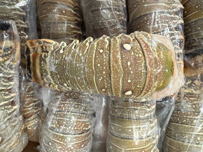Lobster, 7oz, Tails, Frozen, Brazil,  NW, 10lb