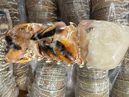 Lobster, 7oz, Tails, Frozen, Brazil,  NW, 10lb