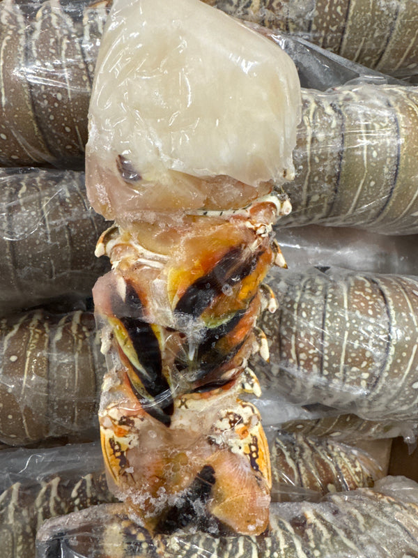 Lobster, 7oz, Tails, Frozen, Brazil,  NW, 10lb