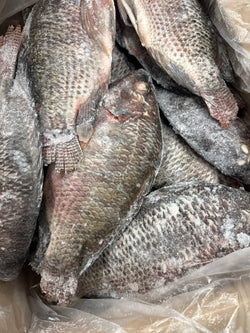 Tilapia(Whole), 950g up, WGGS, Frozen, IQF, Brazil, NW, 40lb