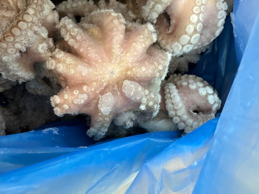 Octopus (Vulgaris), T7 (0.5-0.8 kg), Whole, Frozen, IQF, Morocco, NW, 12 kg  (26.46 lb)